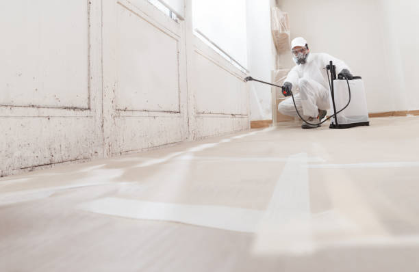 24/7 Emergency Basement Mold Removal experts in Abingdon, MD